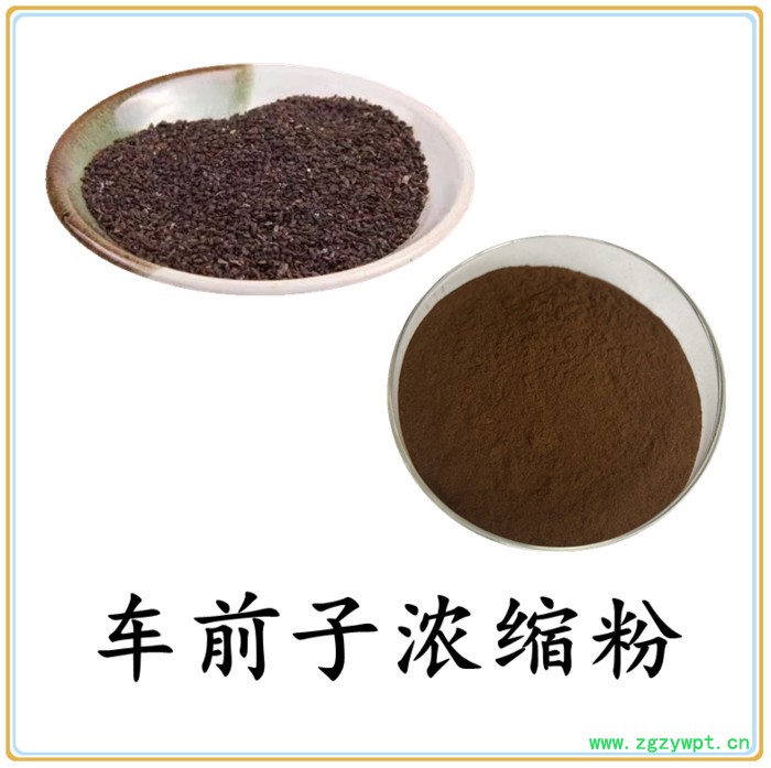 车前子提取物 六盘韵 水溶 可定制  品质保障图7