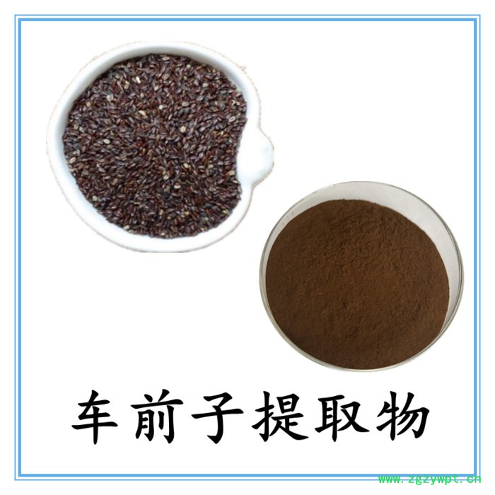 车前子提取物 六盘韵 水溶 可定制  品质保障图5