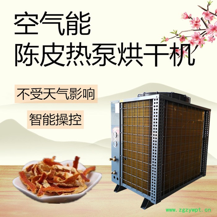 陈皮烘干机图3