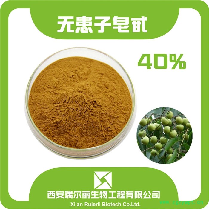 无患子皂甙40% 表面活性剂 无患子提取物粉 无患子浸膏 无患子粉 西安瑞尔丽植提工厂图3