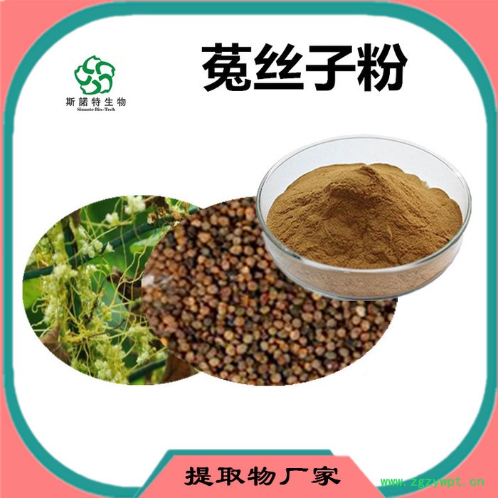 斯诺特 菟丝子粉 菟丝子喷雾干燥粉 生产厂家图2