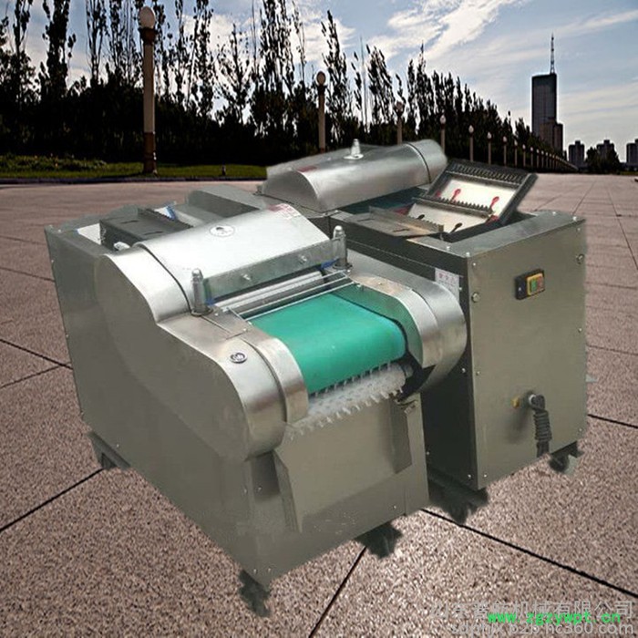 土豆洋葱不锈钢切丁机  普航冻肉切片机 陈皮切丁机批发厂家图6