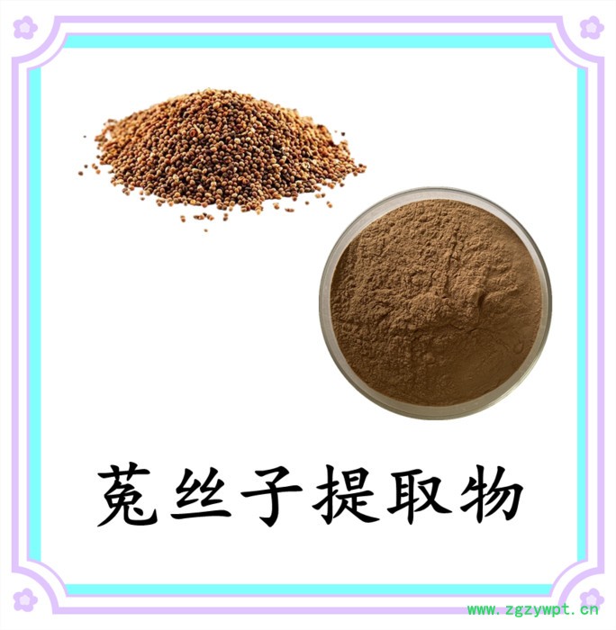 菟丝子粉 可定制 六盘韵 水溶 品质保障图5