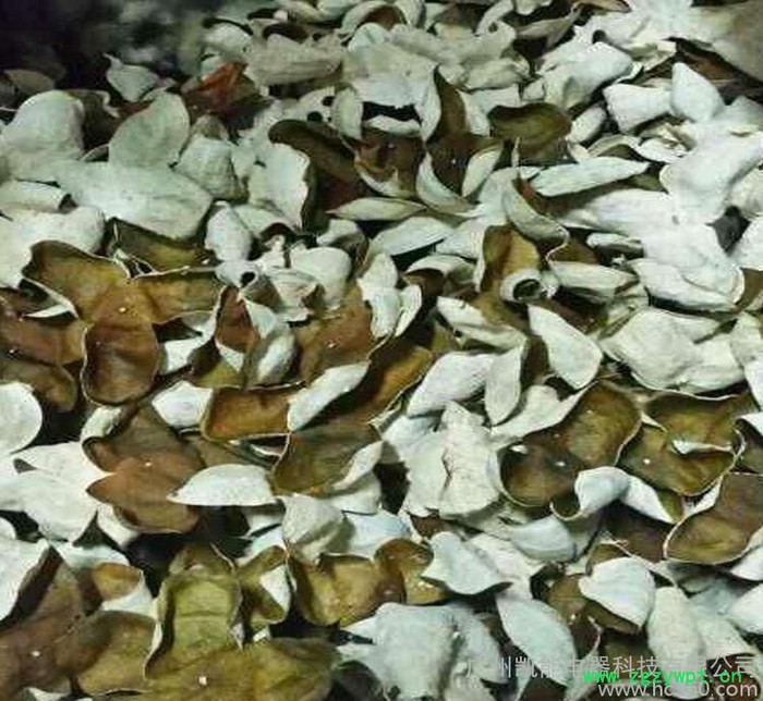 热泵烘干机 陈皮干烘干机 陈皮热泵烘干设备 直销图3