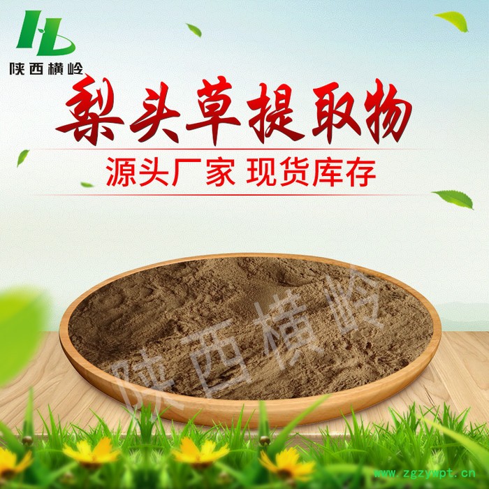 紫花地丁提取物 犁头草提取物 陕西横岭 水溶 紫花地丁浓缩粉 各种规格 横岭现货供应图4