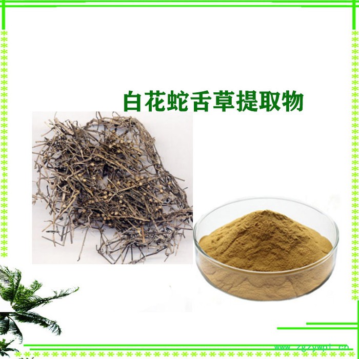白花蛇舌草提取物10：1    水溶性白花蛇舌草粉图3