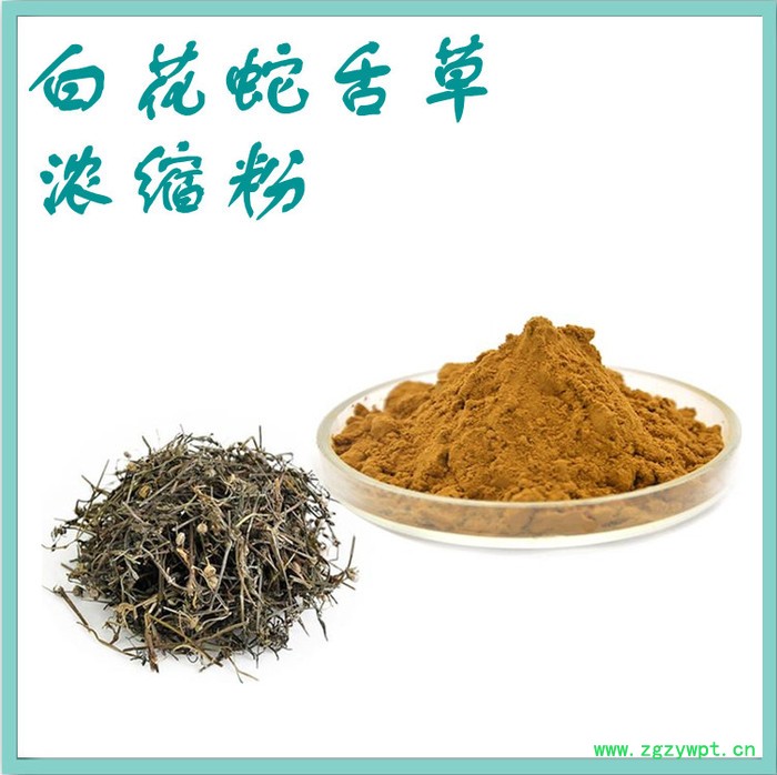 白花蛇舌草浓缩粉 水溶 可定制 白花蛇舌草提取物厂家图2