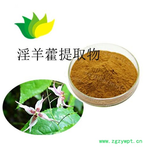 淫羊藿粉提取物 淫羊藿粉提取物图3