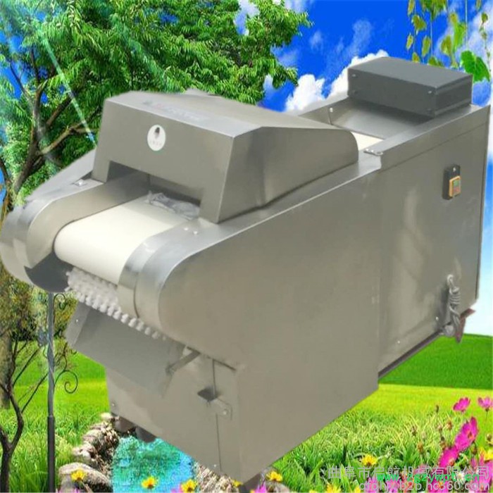 陈皮加工切丝机 启航家用电辣椒切段机 商用桑叶切丝机价格图6