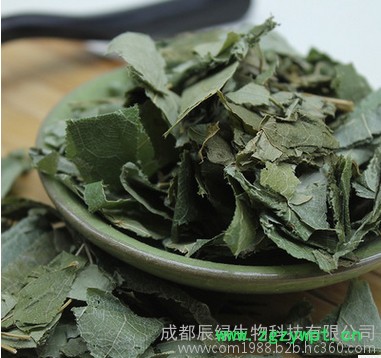 成都辰绿生物 淫羊藿提取物10%  量大从优图3