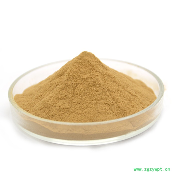 恒瑞康SC工厂直供 车前子提取物 水溶车前子粉 1KG起批 现货图6