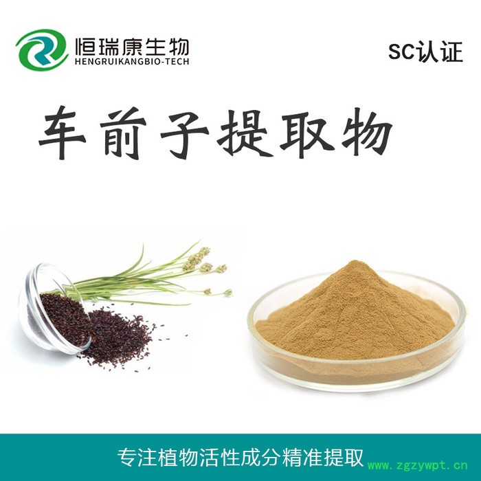恒瑞康SC工厂直供 车前子提取物 水溶车前子粉 1KG起批 现货图5