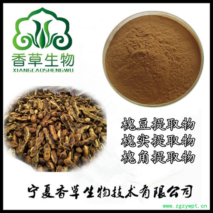 槐豆提取物10:1 宁夏厂家供应槐实提取物 槐角提取物现货图6