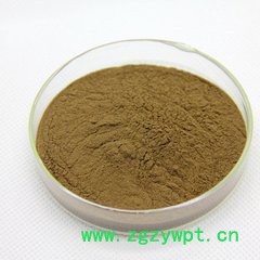 槐豆提取物10:1 宁夏厂家供应槐实提取物 槐角提取物现货图3