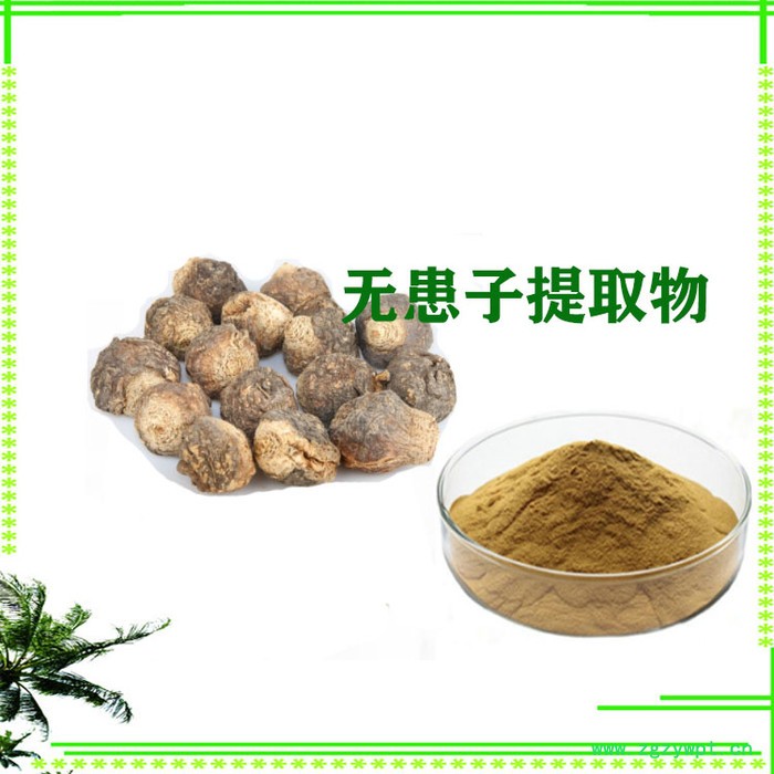无患子提取物  无患子粉  无患子皂甙图4
