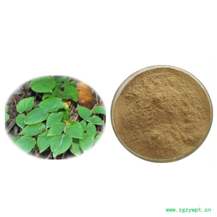 淫羊藿提取物10：1 全水溶性淫羊藿粉98% 淫羊藿提取液浸膏现做图8