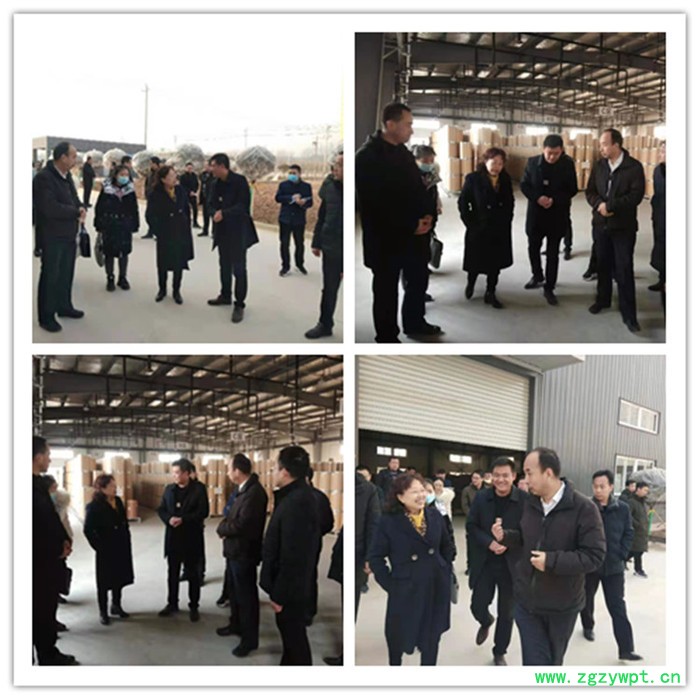 淫羊藿提取物10：1 全水溶性淫羊藿粉98% 淫羊藿提取液浸膏现做图5