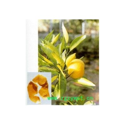 陈皮提取物 陈皮粉末