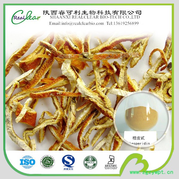 陈皮提取物 陈皮粉末图2