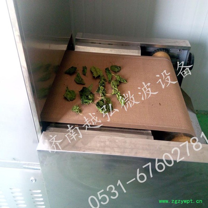 高品质陈皮微波干燥灭菌机 果脯微波烘干设备图2