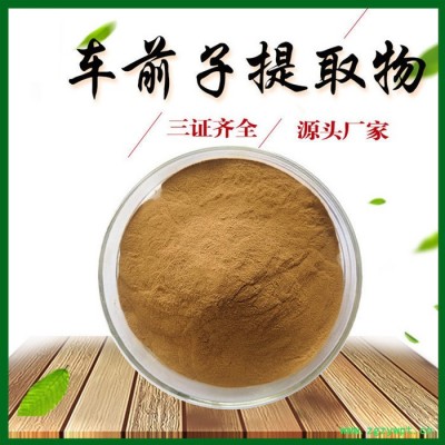 车前子提取物 10:1 车前子粉 车前子多糖 工厂生产 三证齐全 包邮