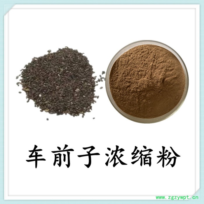 车前子提取物 六盘韵 水溶 可定制 源头厂家图4