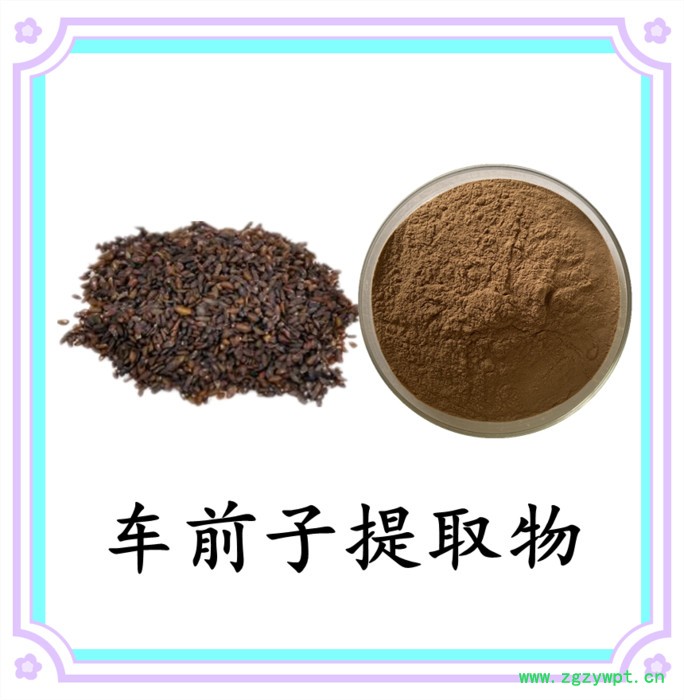 车前子提取物 六盘韵 水溶 可定制 源头厂家图8