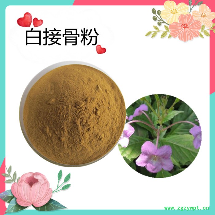 洋车前子壳膳食纤维       水溶      可定制     斯诺特生物图2