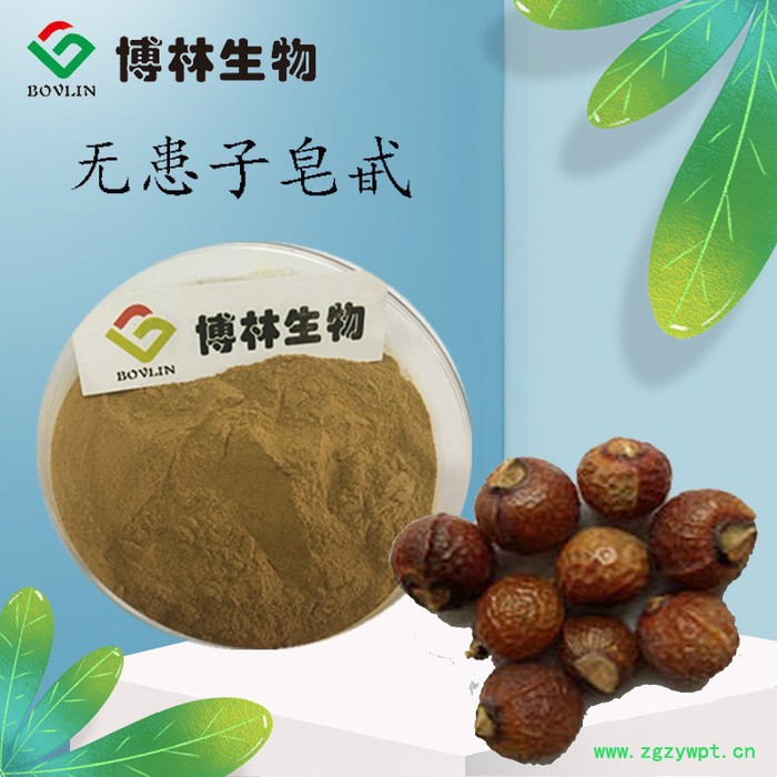 无患子皂甙40% 无患子提取物 无患子皂苷 无患子苷图5