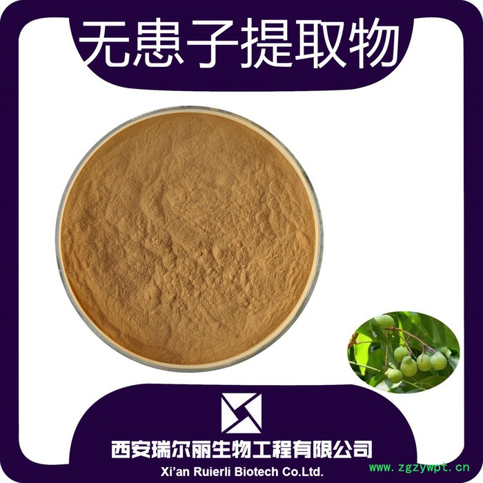 无患子提取物10-1 西安瑞尔丽 无患子皂甙 无患子粉图2