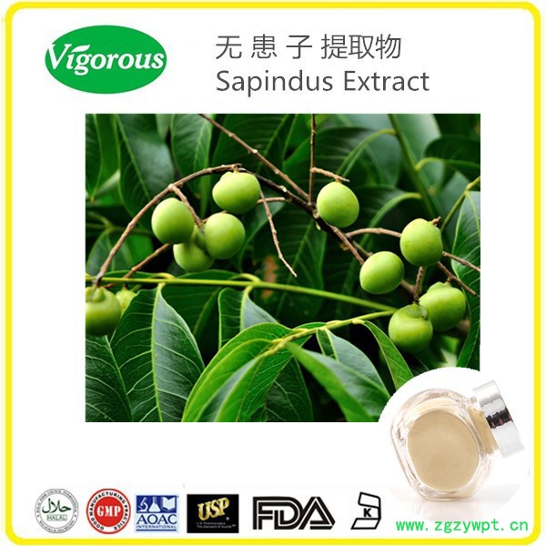 无患子提取物无患子皂甙