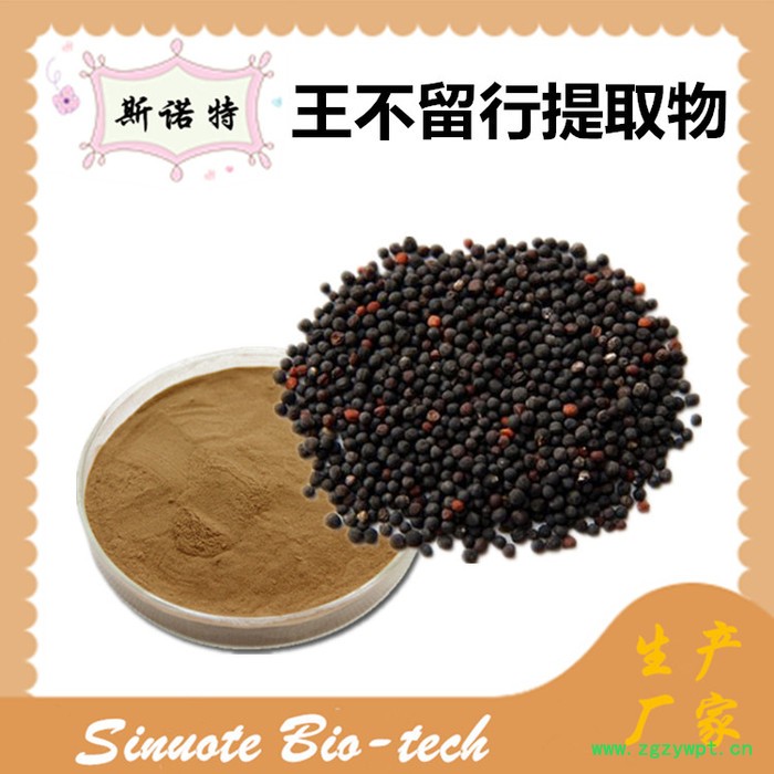 斯诺特 王不留行提取物 王不留行粉 厂家供应 包邮图2