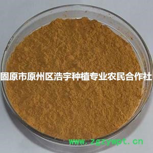 楮实子提取物厂家报价 供应纱纸树纯粉110目 楮实子浓缩粉价格图2