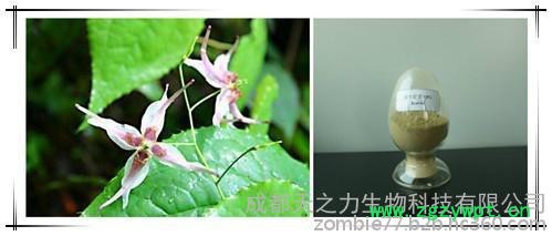 植物提取物淫羊藿苷10%图3