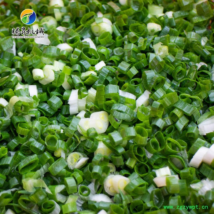 厂家供应台湾小型自动切葱机 自动快速叶菜切丝机 电动陈皮切丝机 腾昇TS-Q30图2