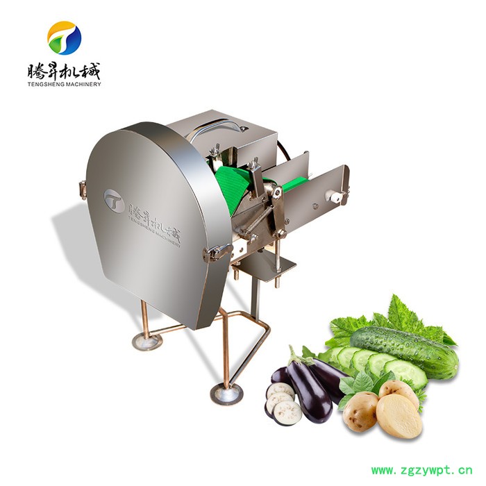 厂家供应台湾小型自动切葱机 自动快速叶菜切丝机 电动陈皮切丝机 腾昇TS-Q30图7