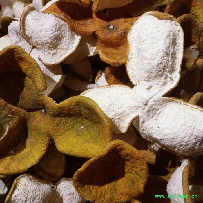 恒源HY-C1  陈皮图2