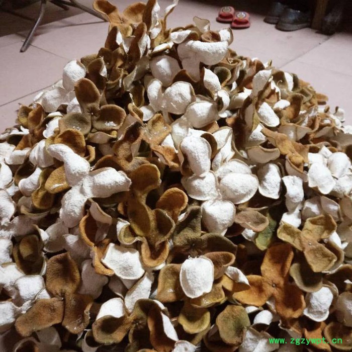 恒源HY-C1  陈皮图3