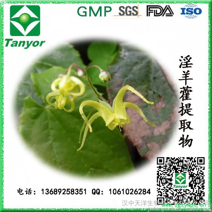 **供应 淫羊藿提取物 淫羊藿单甙
