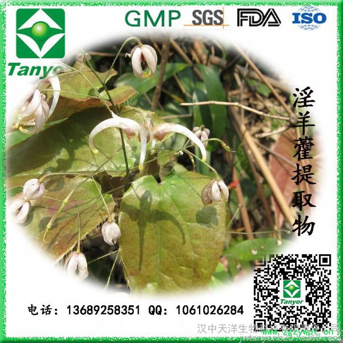 **供应 淫羊藿提取物 淫羊藿单甙图6