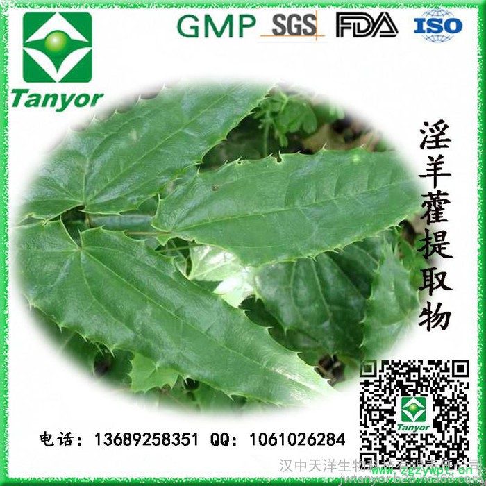 **供应 淫羊藿提取物 淫羊藿单甙图5