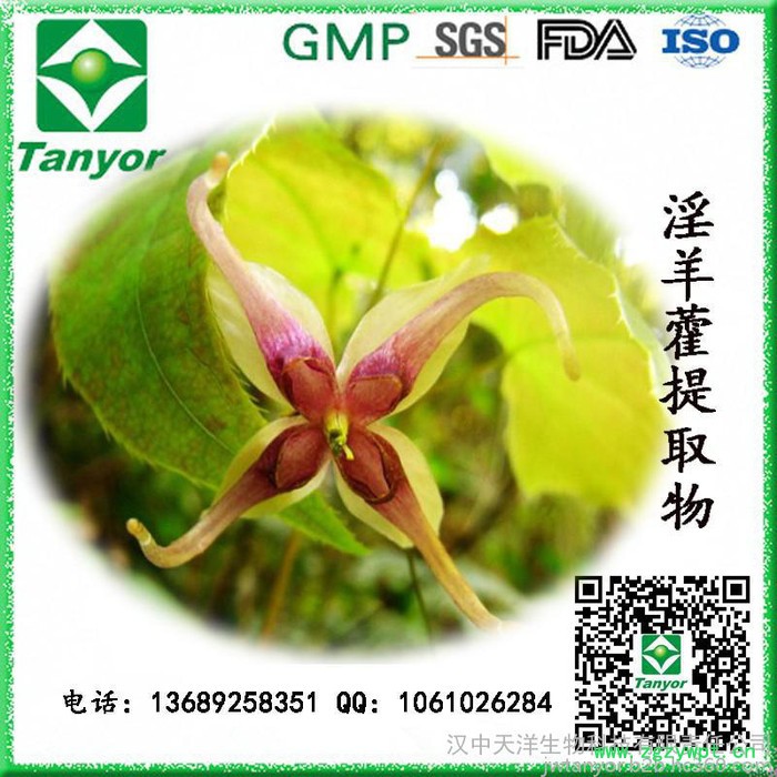 **供应 淫羊藿提取物 淫羊藿单甙图3