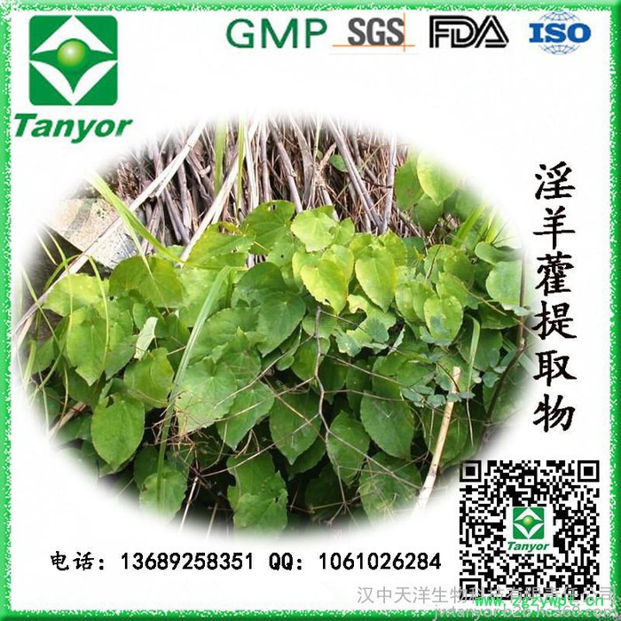 **供应 淫羊藿提取物 淫羊藿单甙图8