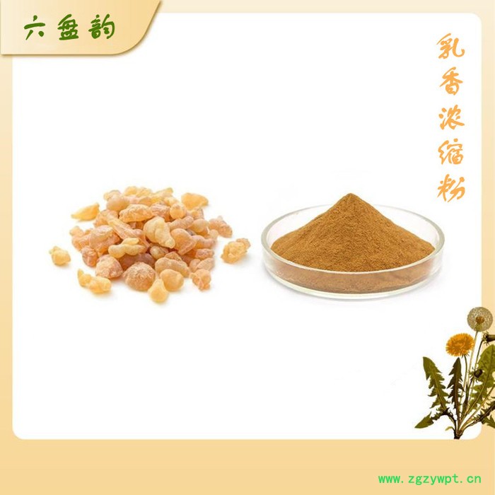 乳香粉 乳香提取物 厂家供应 水溶性乳香粉图3
