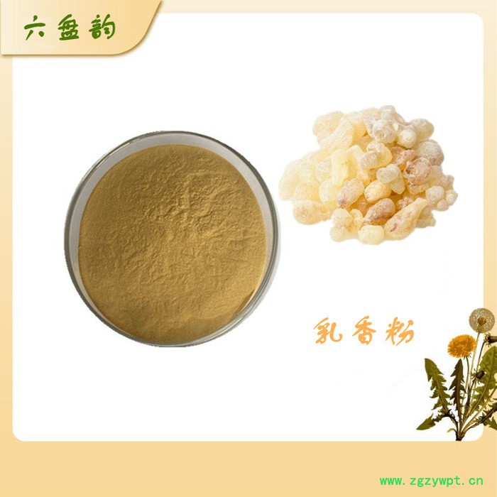 乳香粉 乳香提取物 厂家供应 水溶性乳香粉图2