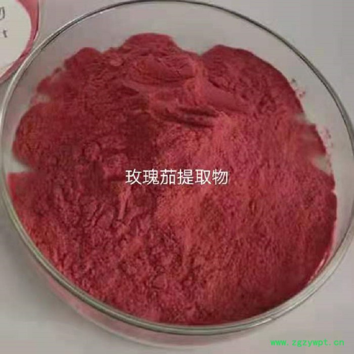 甘肃斯诺特  安息香提取物  量大从优 安息香粉  全水溶图5