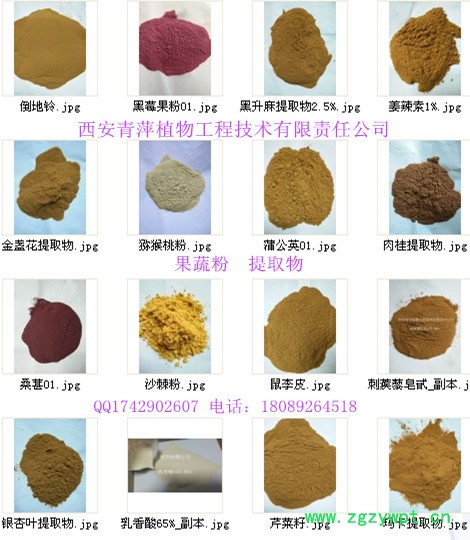 供应乳香酸65%-95% 乳白色粉末 标准含量 现货库存量优先图2
