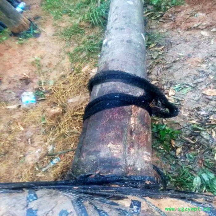 供应海南cxdb1沉香大杯**沉香大杯 挖土沉香 沉香树 沉香佛珠 沉香大杯**沉香大杯,沉香批发图3