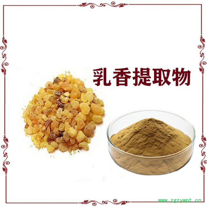 乳香提取物 10:1 乳香粉 乳香速溶粉图2