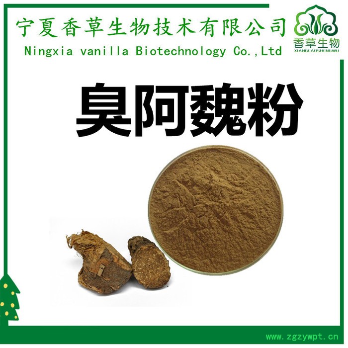 香草生物供应阿魏提取物 阿魏粉80-120目 臭阿魏提取物比例提取图5